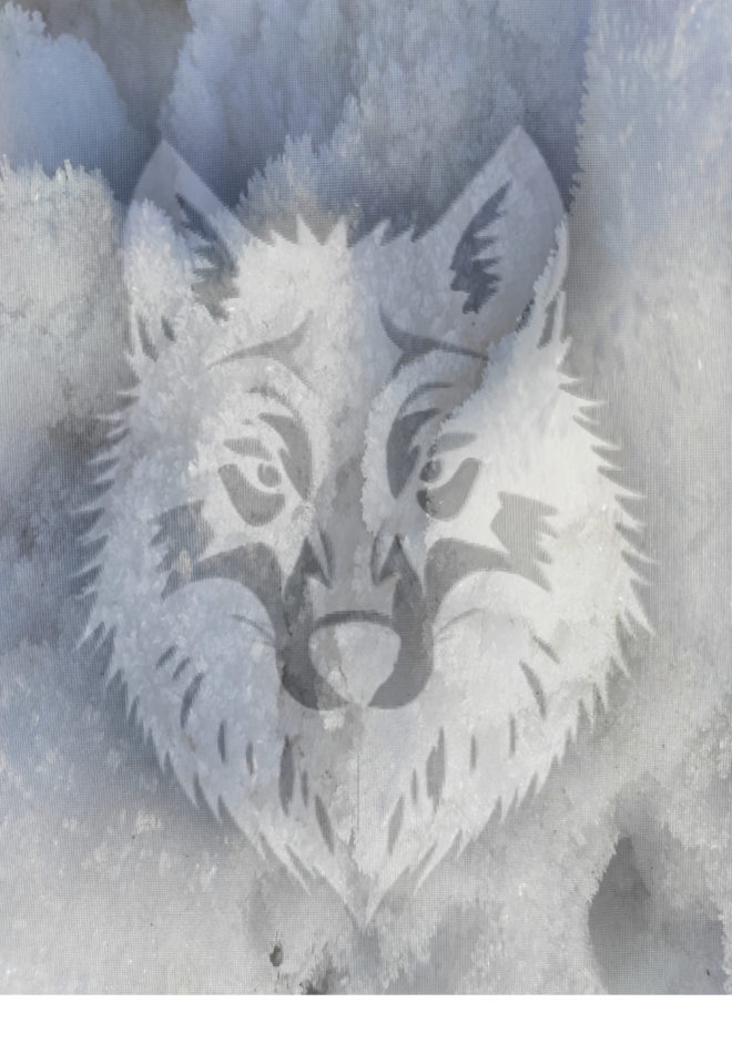 Le LoupBriand Le Loup Photo Gina Cubeles 2025